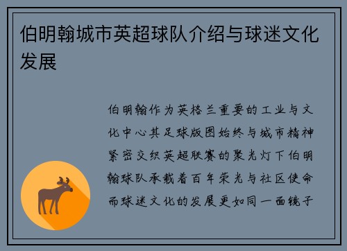 伯明翰城市英超球队介绍与球迷文化发展